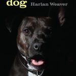 خرید و دانلود نسخه کامل کتاب Bad Dog: Pit Bull Politics and Multispecies Justice