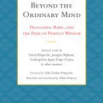 خرید و دانلود نسخه کامل کتاب Beyond the Ordinary Mind: Dzogchen, Rimé, and the Path of Perfect Wisdom
