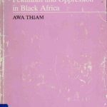 خرید و دانلود نسخه کامل کتاب Black Sisters, Speak Out: Feminism and Oppression in Black Africa