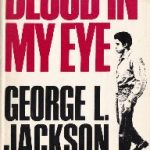 خرید و دانلود نسخه کامل کتاب Blood in My Eye