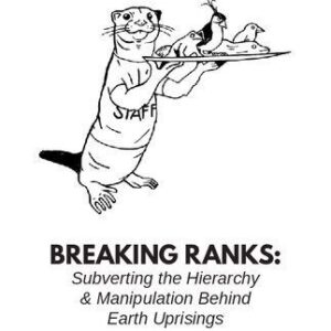 خرید و دانلود نسخه کامل کتاب Breaking Ranks: Subverting the Hierarchy and Manipulation Behind Earth Uprisings