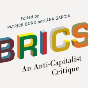 خرید و دانلود نسخه کامل کتاب BRICS: An Anti-Capitalist Critique