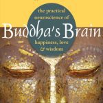 خرید و دانلود نسخه کامل کتاب Buddha’s Brain: The Practical Neuroscience of Happiness, Love, and Wisdom