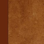 خرید و دانلود نسخه کامل کتاب Byways of Ghost-Land