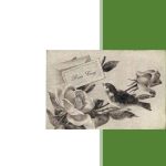 خرید و دانلود نسخه کامل کتاب CARTAS ROSACRUCES