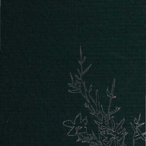 خرید و دانلود نسخه کامل کتاب Ch’an and Zen teaching