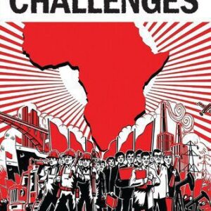 خرید و دانلود نسخه کامل کتاب China’s African Challenges