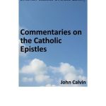 خرید و دانلود نسخه کامل کتاب Commentaries on the Catholic Epistles