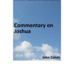 خرید و دانلود نسخه کامل کتاب Commentary on Joshua
