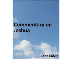 خرید و دانلود نسخه کامل کتاب Commentary on Joshua