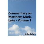 خرید و دانلود نسخه کامل کتاب Commentary on Matthew, Mark, Luke. Volume 1