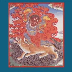 خرید و دانلود نسخه کامل کتاب Crazy Wisdom