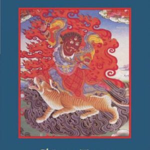 خرید و دانلود نسخه کامل کتاب Crazy Wisdom