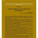 خرید و دانلود نسخه کامل کتاب Culturas indígenas: de la explotación al paternalismo