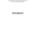 خرید و دانلود نسخه کامل کتاب Инжил башҡорт телендә (Новый Завет – перевод на башкирский язык)