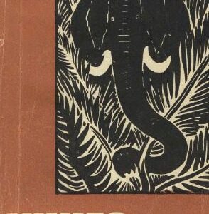خرید و دانلود نسخه کامل کتاب Книга о слонах