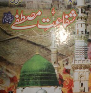 خرید و دانلود نسخه کامل کتاب تحقیق الفتوٰی فی ابطال الطغوٰی