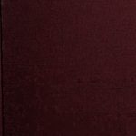 خرید و دانلود نسخه کامل کتاب Das Erkenntnisproblem in der Philosophie und Wissenschaft der neueren Zeit