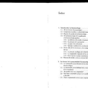 خرید و دانلود نسخه کامل کتاب De Husserl a Heidegger: la transformacion del pensamiento fenomenologico