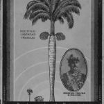 خرید و دانلود نسخه کامل کتاب Declaración de Principios y Estatutos del Partido Dominicano