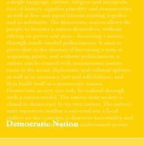 خرید و دانلود نسخه کامل کتاب Democratic Nation