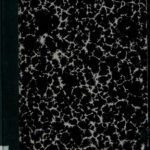 خرید و دانلود نسخه کامل کتاب Der neue Staat