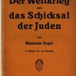 خرید و دانلود نسخه کامل کتاب Der Weltkrieg und das Schicksal der Juden