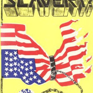 خرید و دانلود نسخه کامل کتاب Descent Into Slavery?