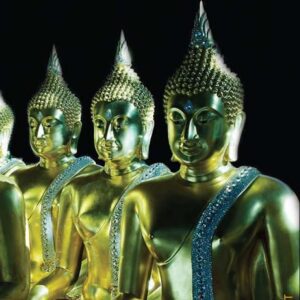 خرید و دانلود نسخه کامل کتاب Despertar: Uma Vida de Buda