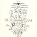 خرید و دانلود نسخه کامل کتاب Die Geheimnisse der Schöpfung. Ein Kapitel aus dem kabbalistischen Buche Sohar