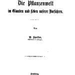 خرید و دانلود نسخه کامل کتاب Die Pflanzenwelt im Glauben und Leben unserer Vorfahren