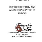 خرید و دانلود نسخه کامل کتاب Dispersed Fordism and a New Organisation of Labour