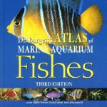 خرید و دانلود نسخه کامل کتاب Dr Burgess’s Atlas of Marine Aquarium Fishes