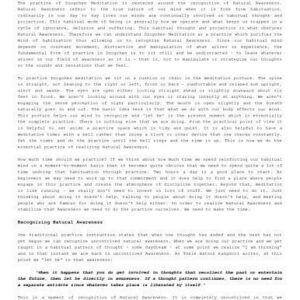 خرید و دانلود نسخه کامل کتاب Dzogchen Meditation (full version) [latest] [fixed]