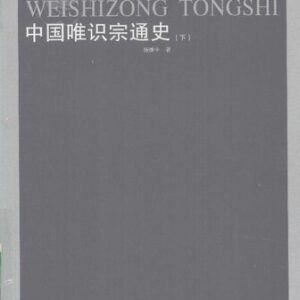 خرید و دانلود نسخه کامل کتاب 中国唯识宗通史（下册）
