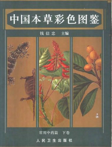 خرید و دانلود نسخه کامل کتاب 中国本草彩色图鉴 (下)_68e97ef362ec1.jpeg خرید و دانلود نسخه کامل کتاب 中国本草彩色图鉴 (下)