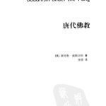 خرید و دانلود نسخه کامل کتاب 唐代佛教