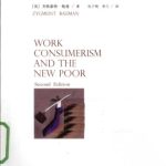 خرید و دانلود نسخه کامل کتاب 工作、消费、新穷人