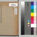 خرید و دانلود نسخه کامل کتاب 翼贊政治會會員名簿