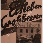 خرید و دانلود نسخه کامل کتاب Eisleben Großbeeren. Gespräche mit Augenzeugen an der Stätte der Verbrechen!