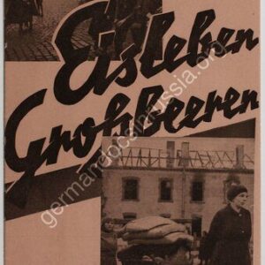 خرید و دانلود نسخه کامل کتاب Eisleben Großbeeren. Gespräche mit Augenzeugen an der Stätte der Verbrechen!
