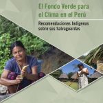خرید و دانلود نسخه کامل کتاب El Fondo Verde para el Clima en el Perú. Recomendaciones Indígenas sobre sus Salvaguardas
