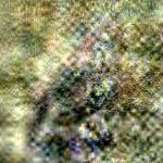 خرید و دانلود نسخه کامل کتاب El materialismo de Marx. Discurso crítico y revolución.