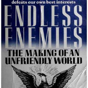 خرید و دانلود نسخه کامل کتاب Endless Enemies; The Making of an Unfriendly World