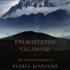 خرید و دانلود نسخه کامل کتاب Enlightened Vagabond: The Life and Teachings of Patrul Rinpoche