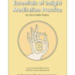 خرید و دانلود نسخه کامل کتاب Essentials of Insight Meditation Practice: A Pragmatic Approach to Vipassana