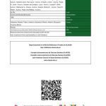 خرید و دانلود نسخه کامل کتاب Estudios Bolivianos 1. Informe de investigación gestión 94