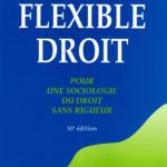خرید و دانلود نسخه کامل کتاب Flexible droit : pour une sociologie du droit sans rigueur