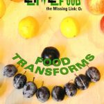 خرید و دانلود نسخه کامل کتاب Food Transforms: Gently Motivating You to A Healthier and Happier Living