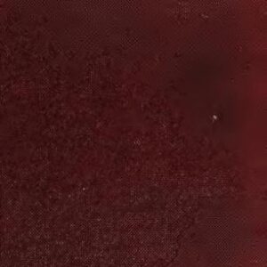 خرید و دانلود نسخه کامل کتاب Francesco. Catholic Socialism